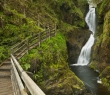 Ireland_75 The Ess-Na-Laragh Waterfall, Glenariff Forest Park, Northern Ireland