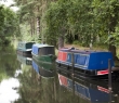 England_55 Basingstoke Canal, Hampshire