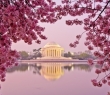 World_49 Jefferson Memorial, Washington DC
